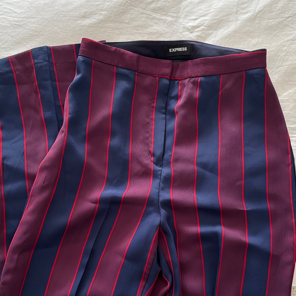 Express Men's Striped Navy and Burgundy Pants